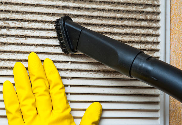 Air Duct Mold Removal in Turnersville, NJ